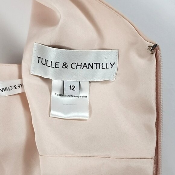 Tulle & Chantilly Women's Blush Chiffon Bridesmaid Dress V Neck Flowy Size 12 - Picture 10 of 14